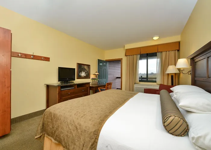 The Hotel