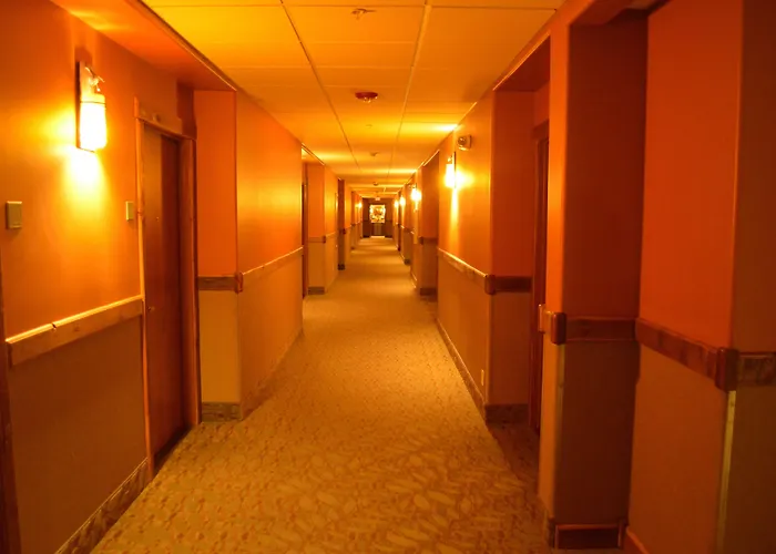 The Hotel Cody