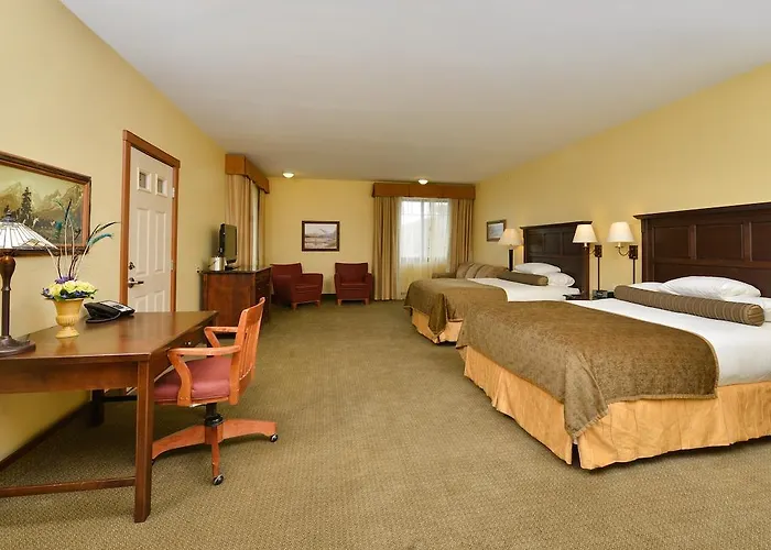 The Hotel